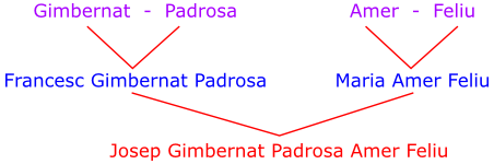 arbol genealogico arbol genealogico
