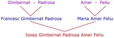 arbol genealogico