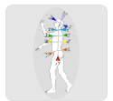 Curso online los chakras, qué son los chakras, cómo nos afectan los chakras, saber cómo tengo los chakras, cómo equilibrar los chakras