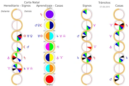 Carta de los Chakras