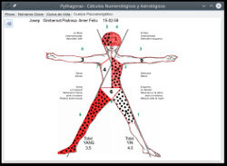 Pantalla del programa de cálculos de numerologia PythagorasN