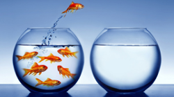 Crecimiento personal Desarrollo interno